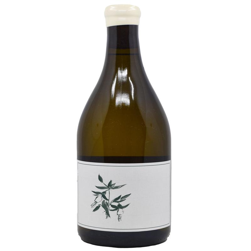 Arnot-Roberts Sta. Rita Hills Chardonnay Sanford & Benedict 2023